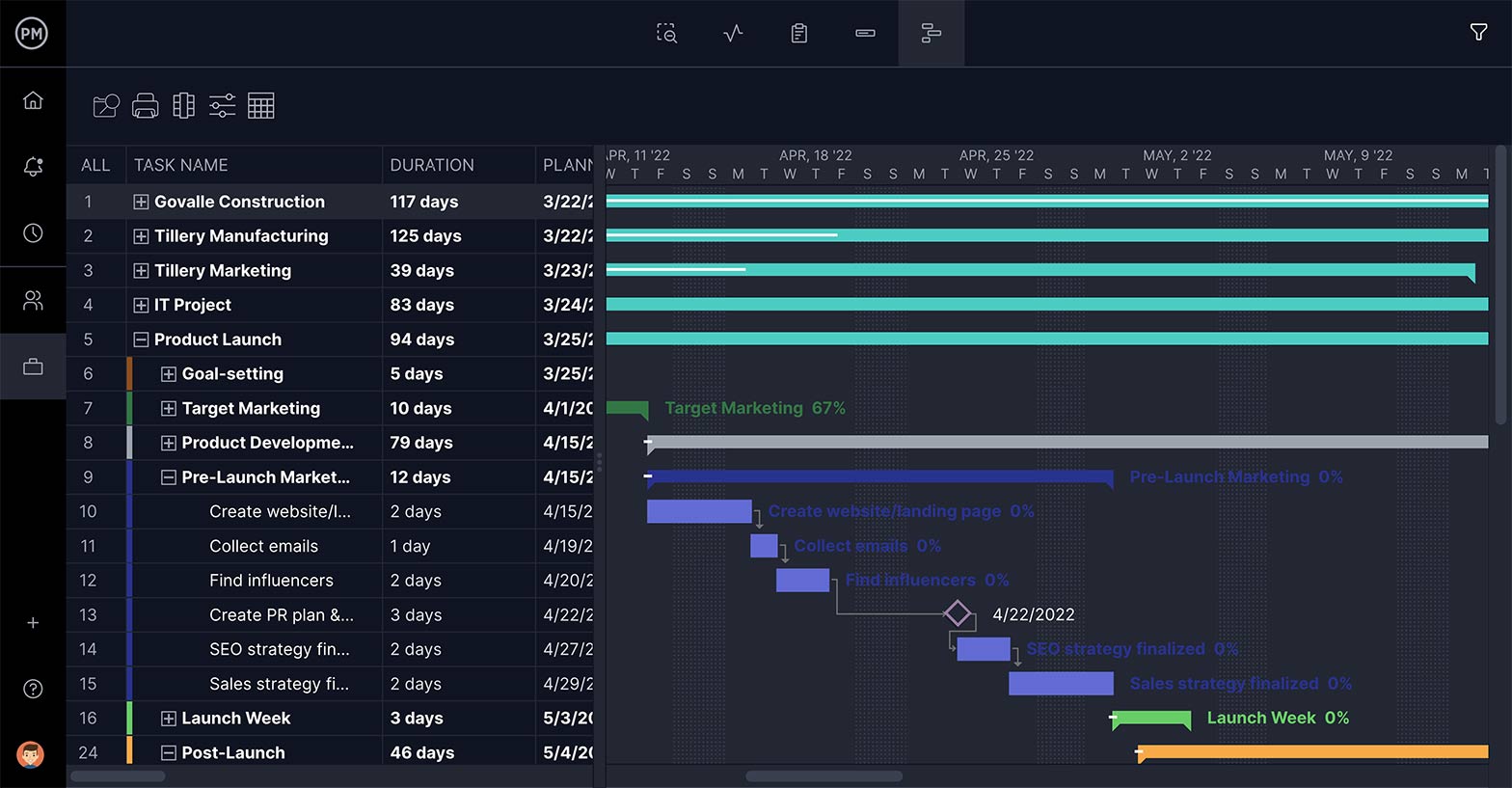 projectmanager portfolio roadmap