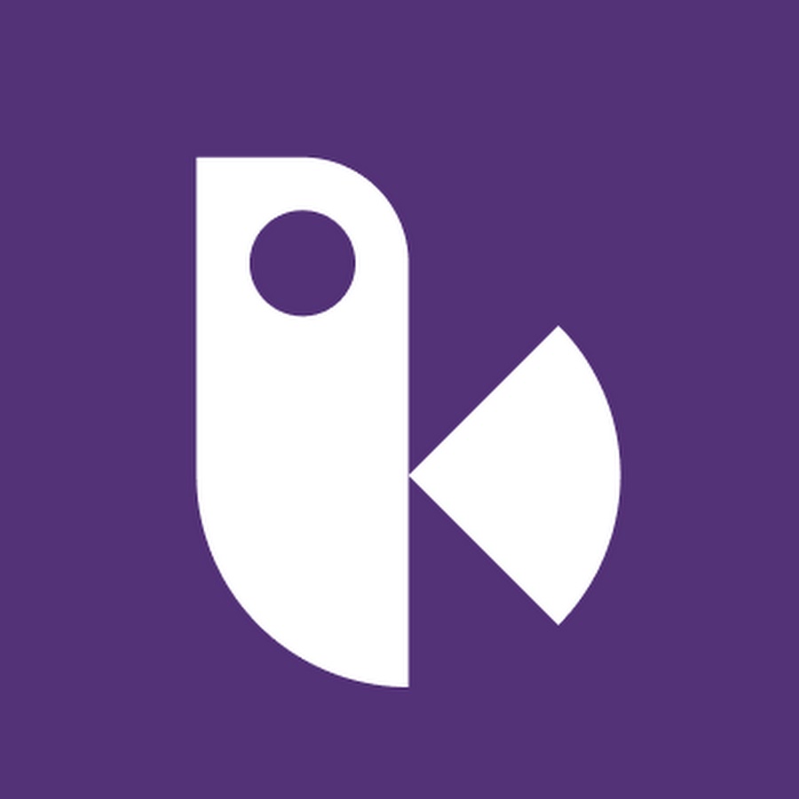 Birdview logo